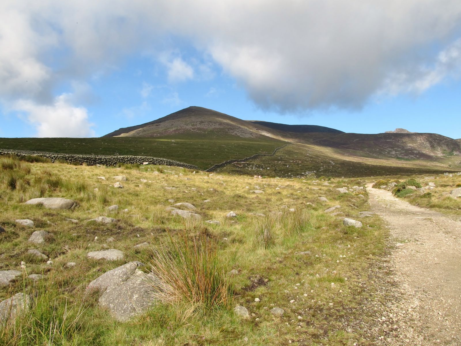 Slieve Binnian from the Carrick Little track